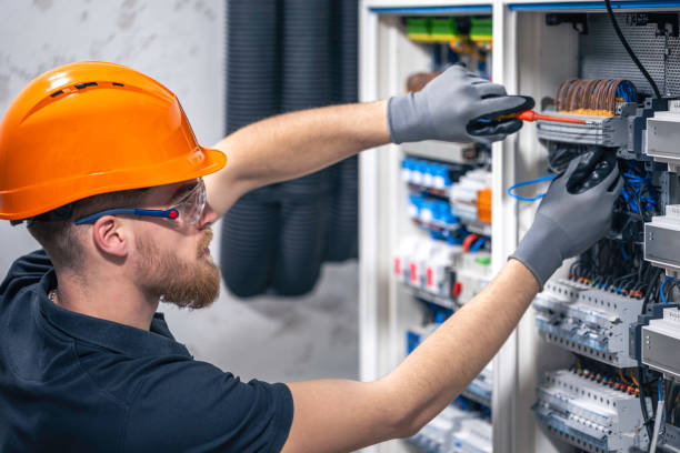 Best Electric Panel Repair  in Horizon City, TX